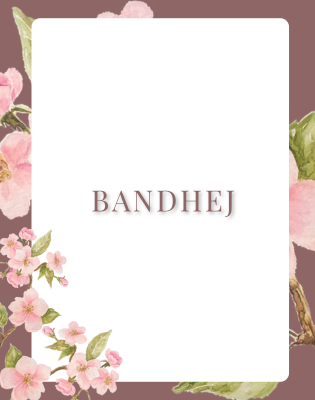 Bandhej by Chaheti